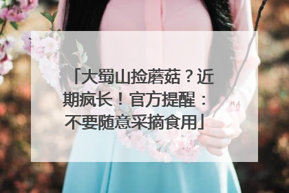 大蜀山捡蘑菇？近期疯长！官方提醒：不要随意采摘食用