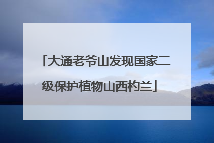 大通老爷山发现国家二级保护植物山西杓兰
