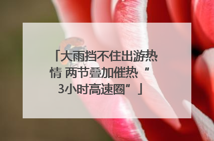 大雨挡不住出游热情 两节叠加催热“3小时高速圈”