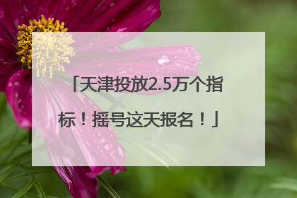天津投放2.5万个指标！摇号这天报名！