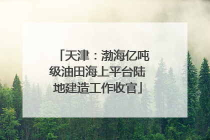 天津：渤海亿吨级油田海上平台陆地建造工作收官