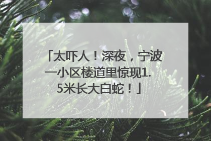 太吓人！深夜，宁波一小区楼道里惊现1.5米长大白蛇！