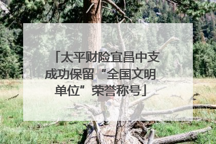 太平财险宜昌中支成功保留“全国文明单位”荣誉称号