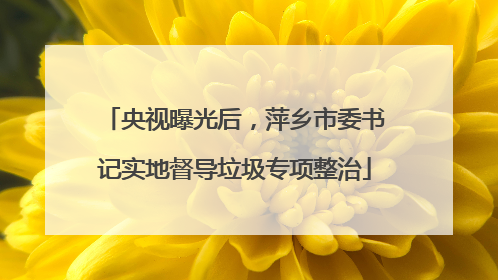 央视曝光后，萍乡市委书记实地督导垃圾专项整治