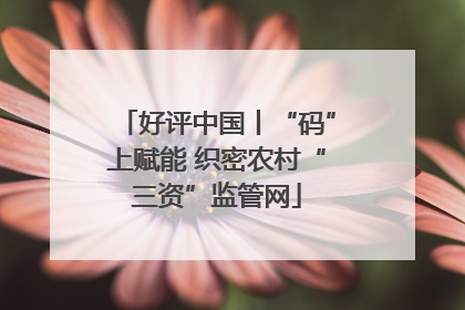 好评中国丨“码”上赋能 织密农村“三资”监管网