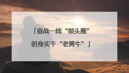 奋战一线“领头雁” 躬身实干“老黄牛”