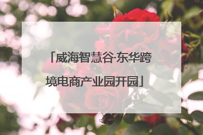 威海智慧谷·东华跨境电商产业园开园
