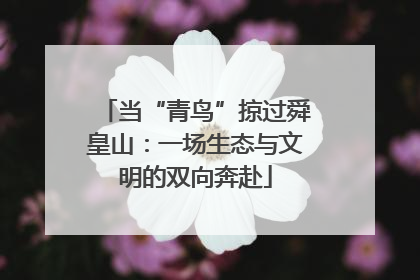 当“青鸟”掠过舜皇山：一场生态与文明的双向奔赴
