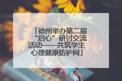 德州举办第二届“启心”研讨交流活动——共筑学生心理健康防护网