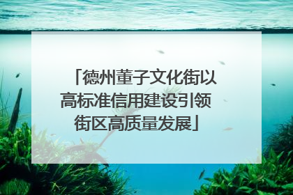 德州董子文化街以高标准信用建设引领街区高质量发展