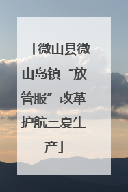 微山县微山岛镇“放管服”改革护航三夏生产