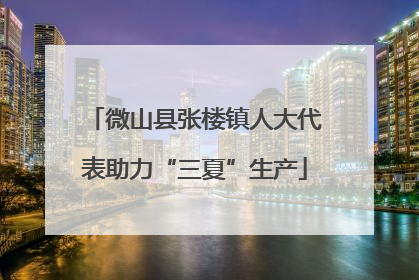微山县张楼镇人大代表助力“三夏”生产