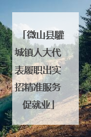 微山县驩城镇人大代表履职出实招精准服务促就业