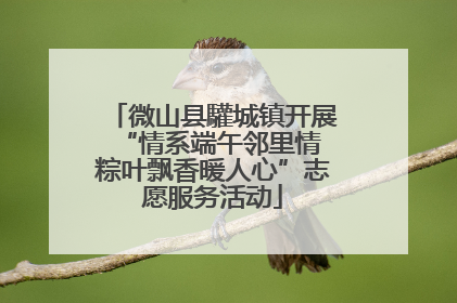 微山县驩城镇开展“情系端午邻里情 粽叶飘香暖人心”志愿服务活动