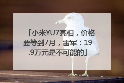 小米YU7亮相，价格要等到7月，雷军：19.9万元是不可能的
