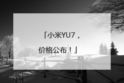 小米YU7，价格公布！