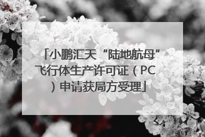 小鹏汇天“陆地航母”飞行体生产许可证（PC）申请获局方受理