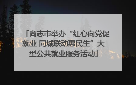 尚志市举办“红心向党促就业 同城联动惠民生”大型公共就业服务活动