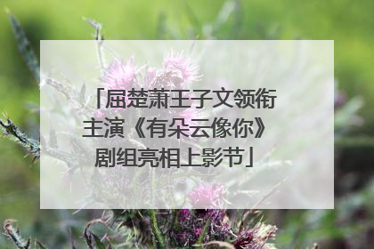 屈楚萧王子文领衔主演《有朵云像你》剧组亮相上影节