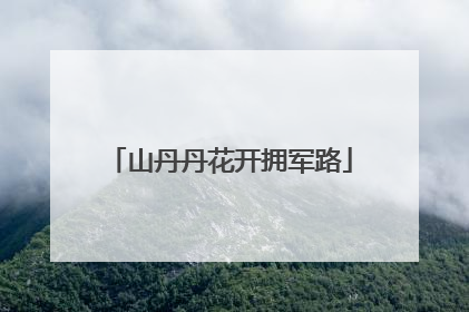 山丹丹花开拥军路