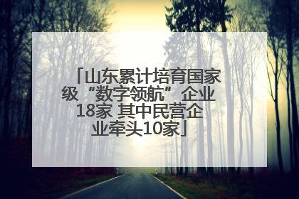 山东累计培育国家级“数字领航”企业18家 其中民营企业牵头10家