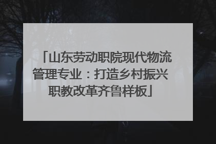 山东劳动职院现代物流管理专业：打造乡村振兴职教改革齐鲁样板