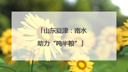 山东夏津：南水助力“吨半粮”
