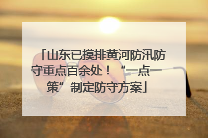 山东已摸排黄河防汛防守重点百余处！“一点一策”制定防守方案