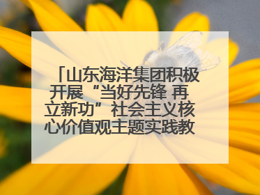 山东海洋集团积极开展“当好先锋 再立新功”社会主义核心价值观主题实践教育月活动