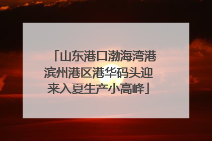 山东港口渤海湾港滨州港区港华码头迎来入夏生产小高峰
