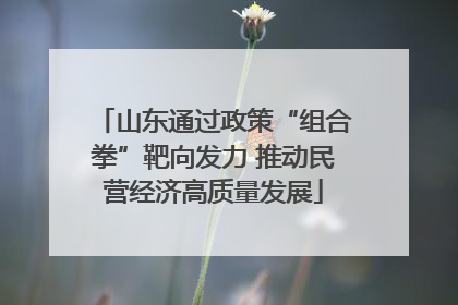 山东通过政策“组合拳”靶向发力 推动民营经济高质量发展