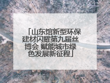 山东馆新型环保建材闪耀第九届丝博会 赋能城市绿色发展新征程