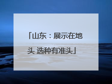 山东：展示在地头 选种有准头
