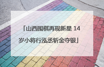 山西围棋再现新星 14岁小将行泓丞斩金夺银