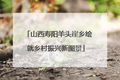 山西寿阳羊头崖乡绘就乡村振兴新图景