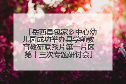 岳西县包家乡中心幼儿园成功举办县学前教育教研联系片第一片区第十三次专题研讨会