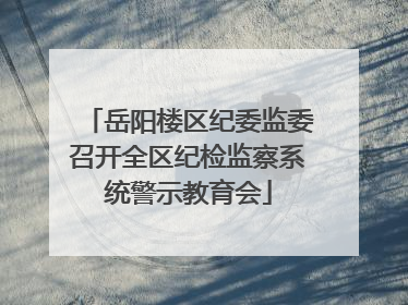 岳阳楼区纪委监委召开全区纪检监察系统警示教育会
