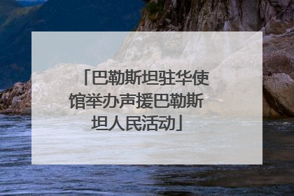 巴勒斯坦驻华使馆举办声援巴勒斯坦人民活动