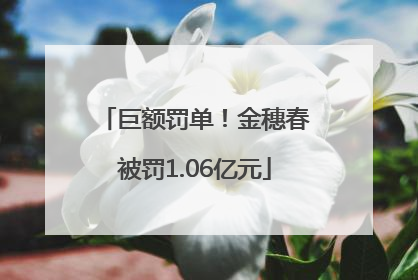 巨额罚单！金穗春被罚1.06亿元