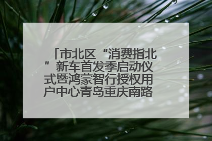 市北区“消费指北”新车首发季启动仪式暨鸿蒙智行授权用户中心青岛重庆南路开业盛典成功举办