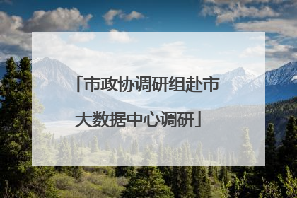 市政协调研组赴市大数据中心调研