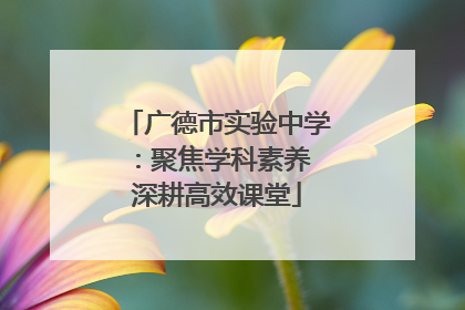 广德市实验中学：聚焦学科素养 深耕高效课堂
