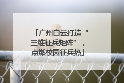 广州白云打造“三维征兵矩阵”，点燃校园征兵热