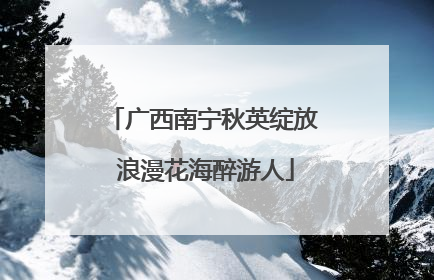 广西南宁秋英绽放 浪漫花海醉游人