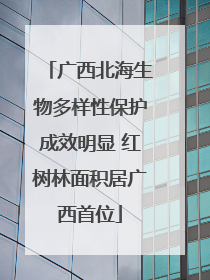广西北海生物多样性保护成效明显 红树林面积居广西首位