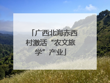 广西北海赤西村激活“农文旅学”产业