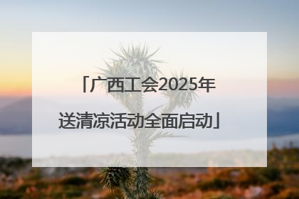广西工会2025年送清凉活动全面启动