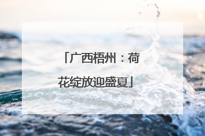 广西梧州：荷花绽放迎盛夏