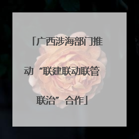 广西涉海部门推动“联建联动联管联治”合作