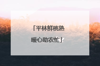 平林鲜桃熟 暖心助农忙